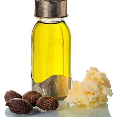 Shea Oil Production Business In Africa is Booming