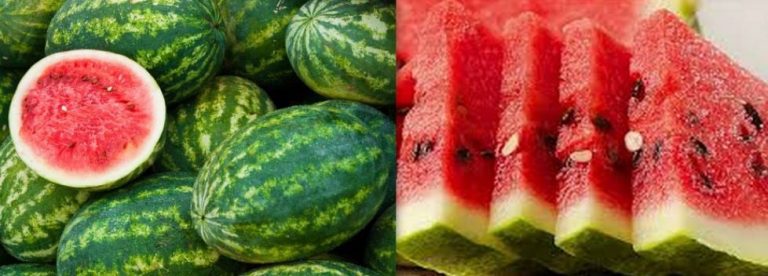 Health Benefits of Watermelon Fruit You Should Know
